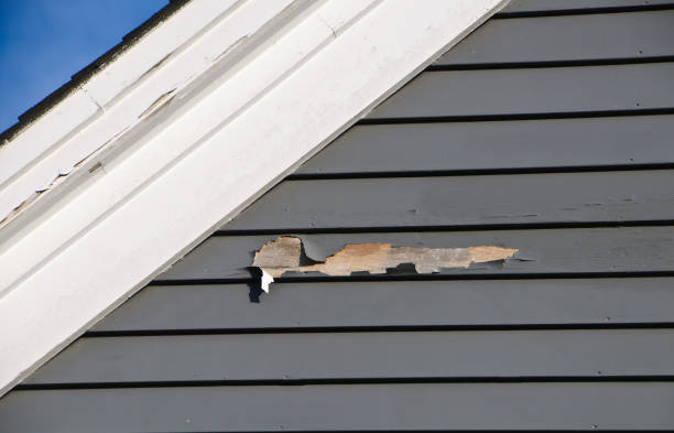 Best Siding Painting and Refinishing  in Lodi, NJ