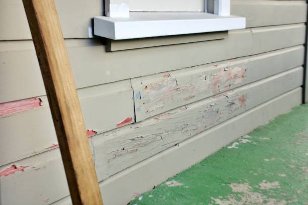 Best Storm Damage Siding Repair  in Lodi, NJ